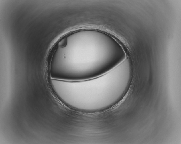 X0000113571502200909180949