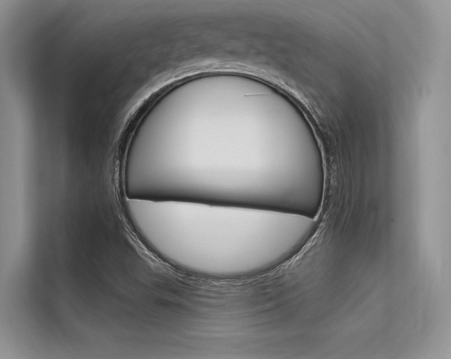 X0000113571503200909180949