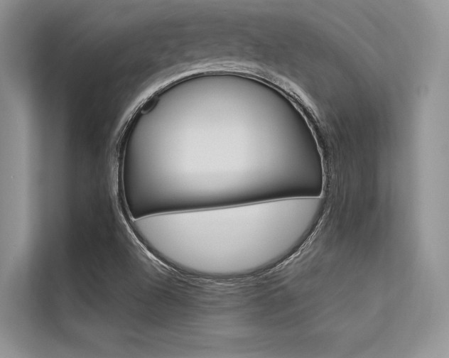 X0000113571504200909180949
