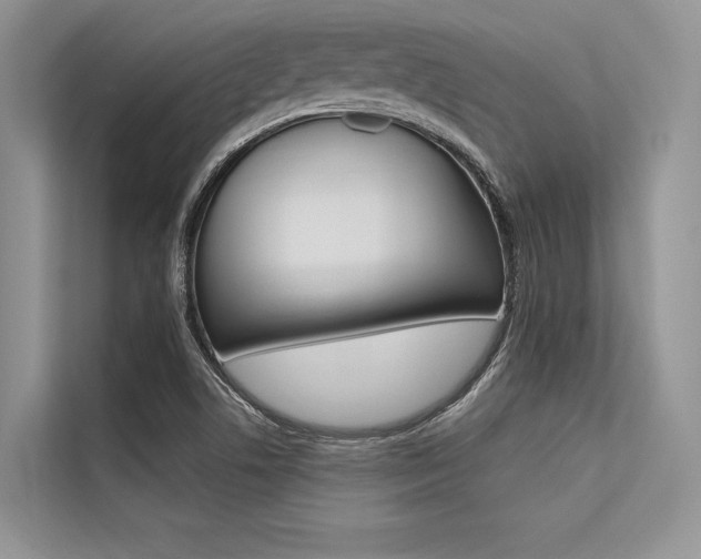 X0000113571506200909180949