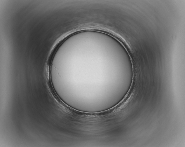 X0000113571509200909180949