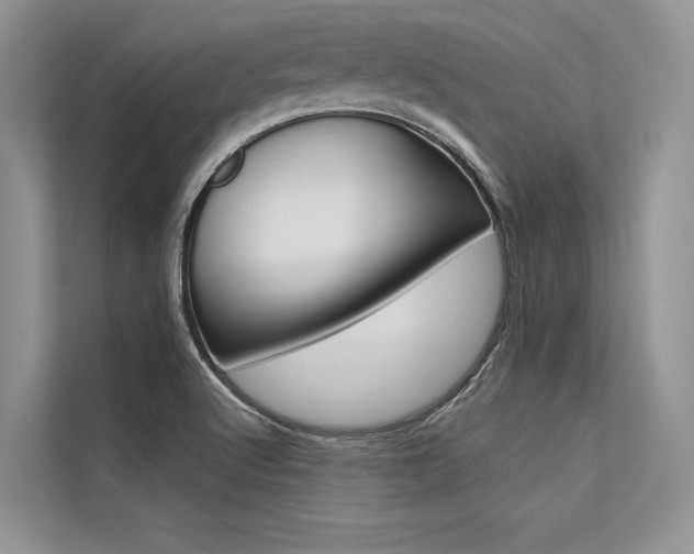 X0000113571512200909180949