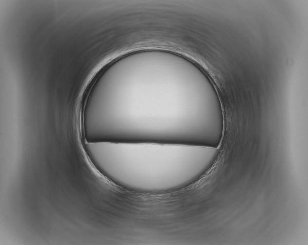 X0000113571515200909180949