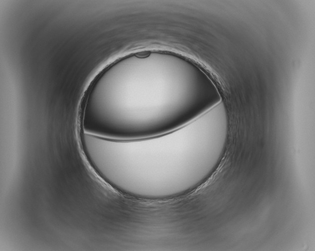 X0000113571518200909180949