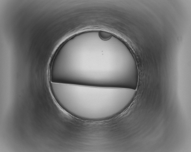 X0000113571519200909180949