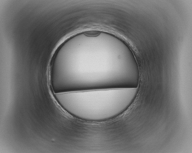 X0000113571522200909180949