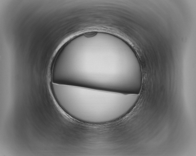 X0000113571523200909180949