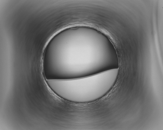 X0000113571524200909180949
