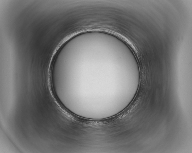 X0000113571525200909180949