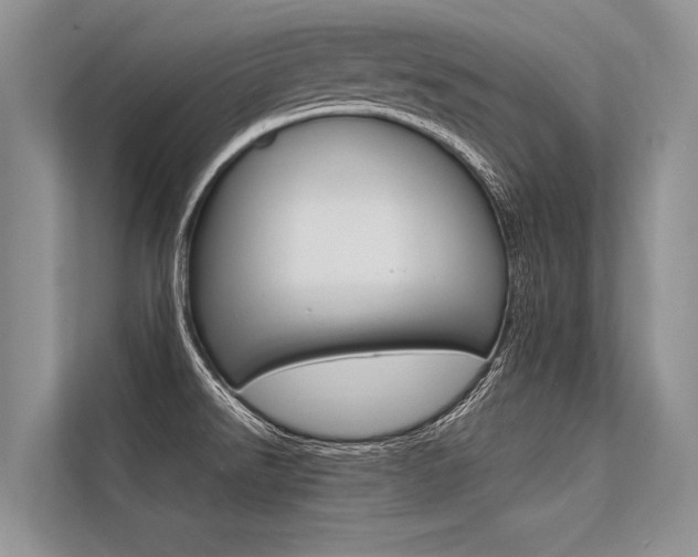 X0000113571526200909180949