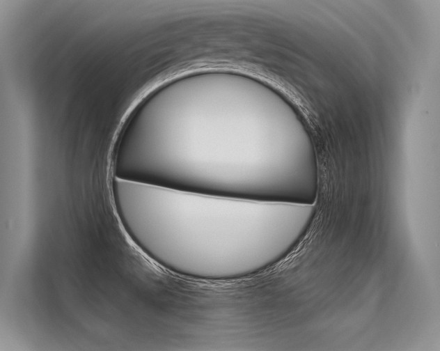 X0000113571527200909180949