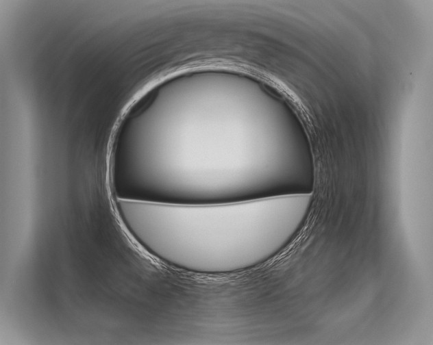 X0000113571528200909180949