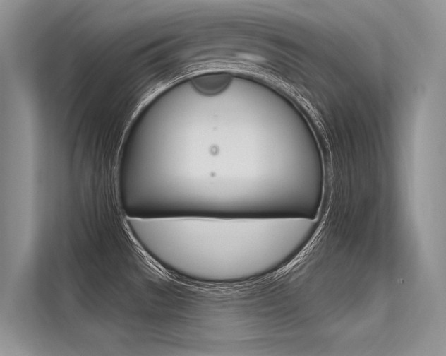 X0000113571529200909180949