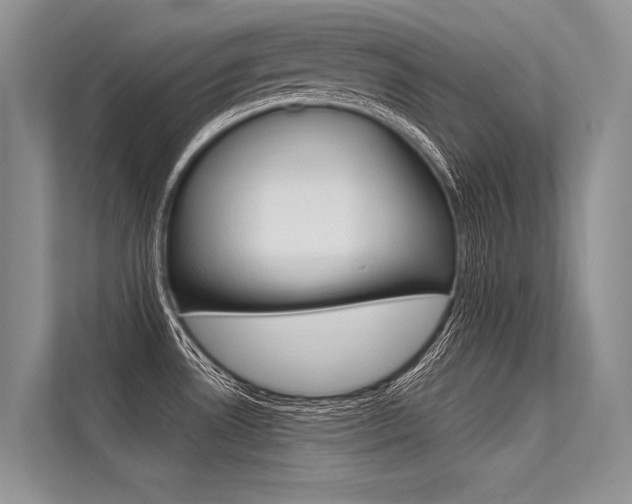 X0000113571530200909180949