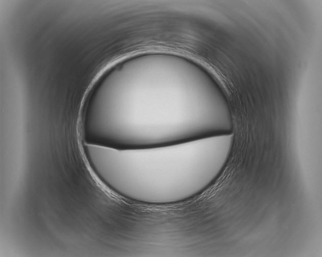 X0000113571531200909180949