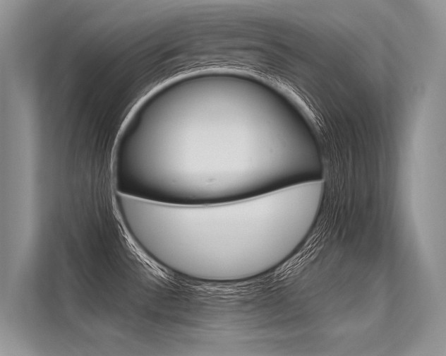 X0000113571532200909180949