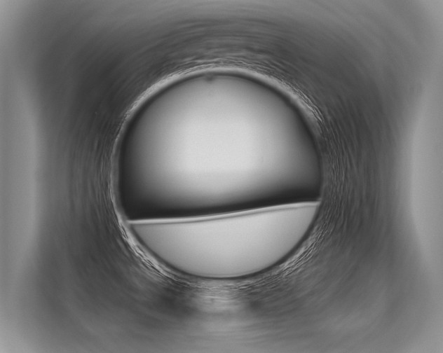 X0000113571534200909180949