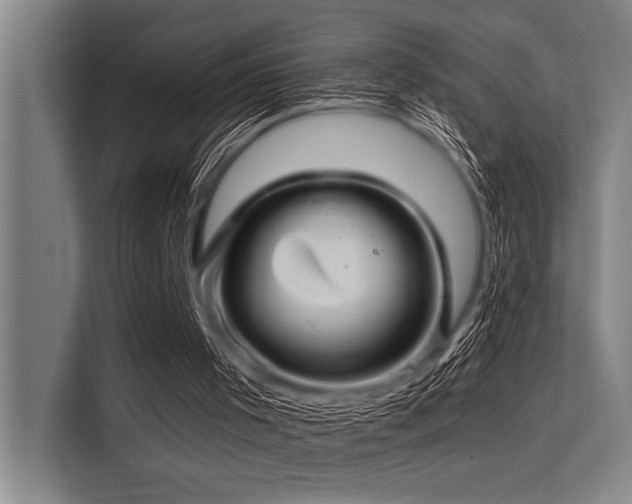 X0000113570001200909181256