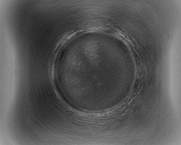 X0000113570002200909181256