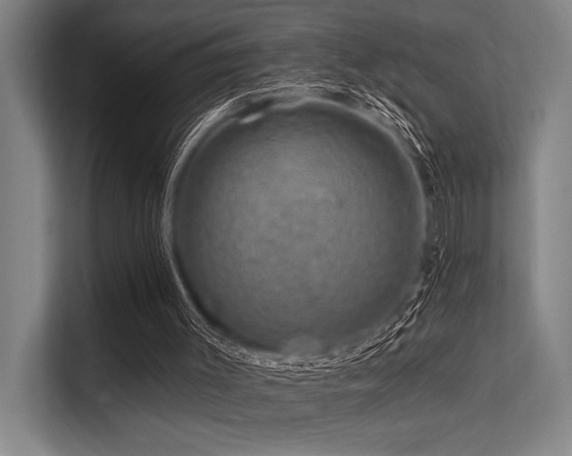 X0000113570003200909181256