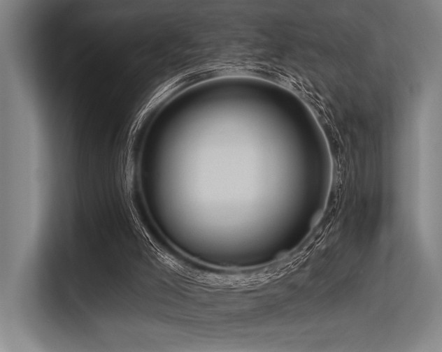 X0000113570005200909181256