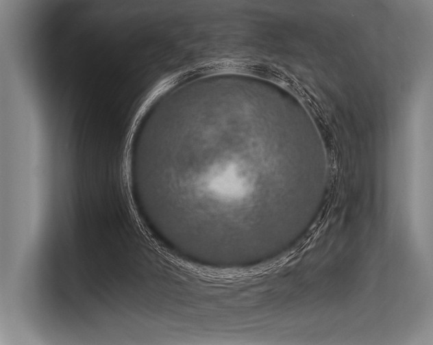 X0000113570006200909181256