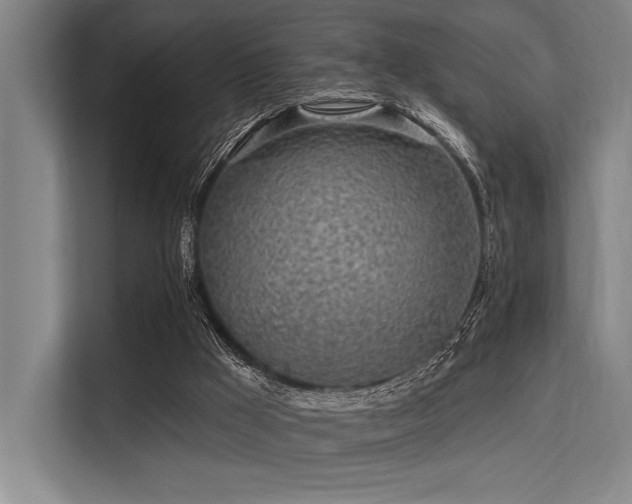 X0000113570009200909181256