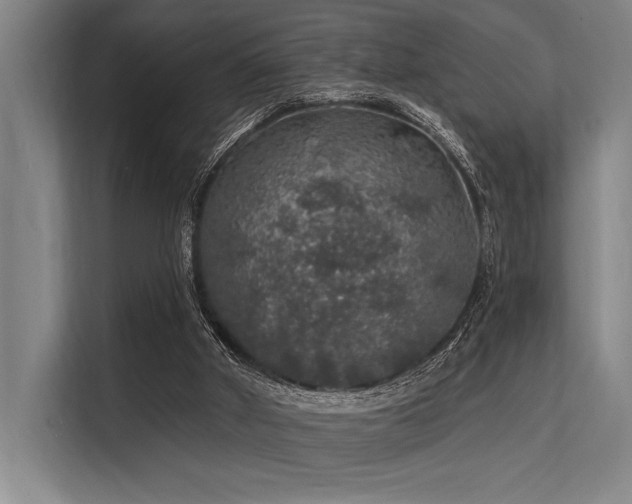 X0000113570010200909181256