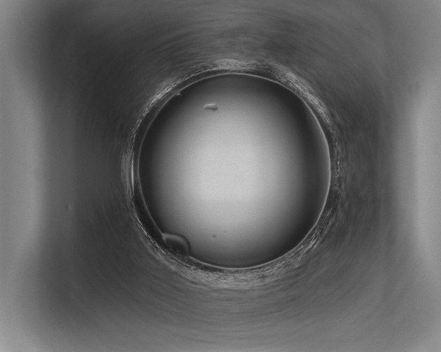 X0000113570011200909181256