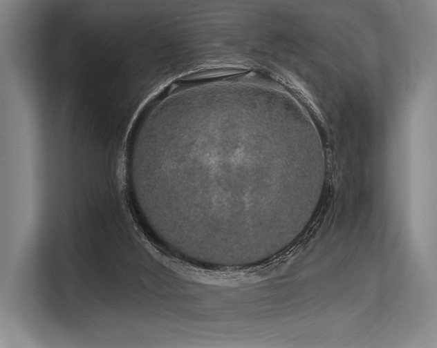 X0000113570012200909181256