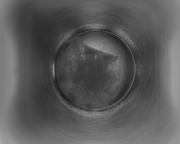 X0000113570014200909181256