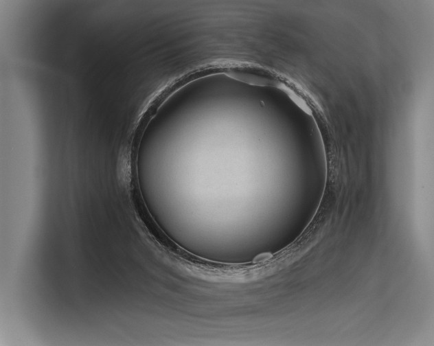 X0000113570015200909181256
