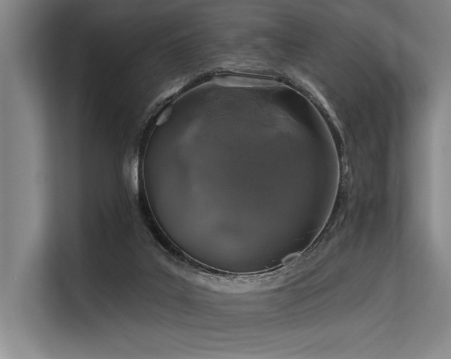 X0000113570019200909181256