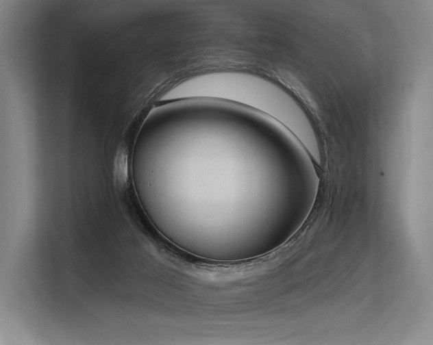 X0000113570021200909181256