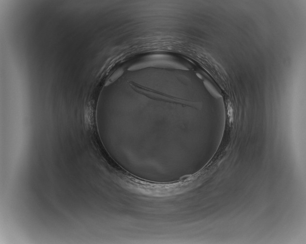 X0000113570035200909181256