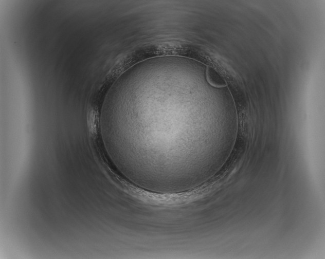 X0000113570038200909181256