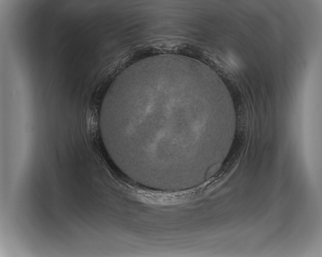 X0000113570040200909181256