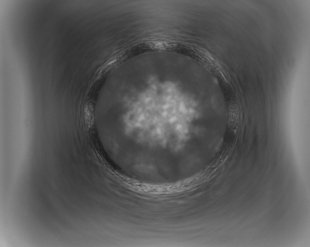 X0000113570043200909181256