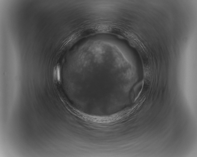 X0000113570046200909181256
