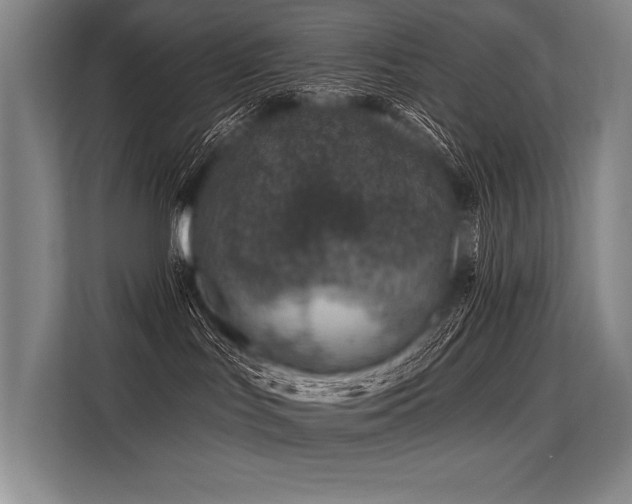 X0000113570047200909181256