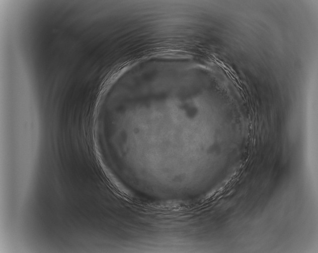 X0000113570049200909181255