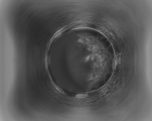 X0000113570051200909181255
