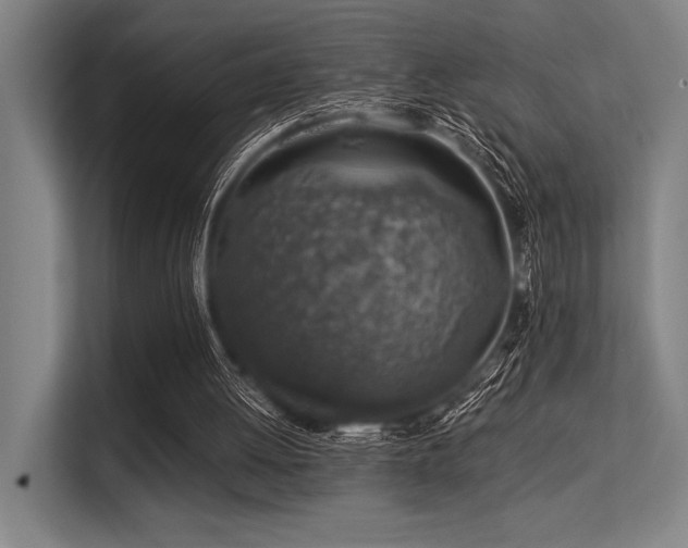X0000113570052200909181255