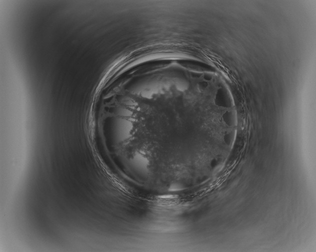 X0000113570053200909181255