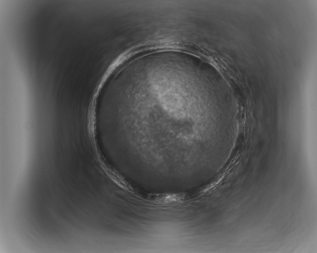 X0000113570056200909181255