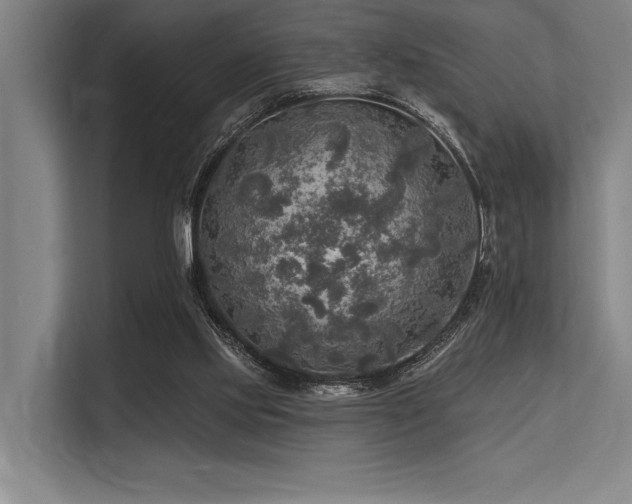 X0000113570061200909181255