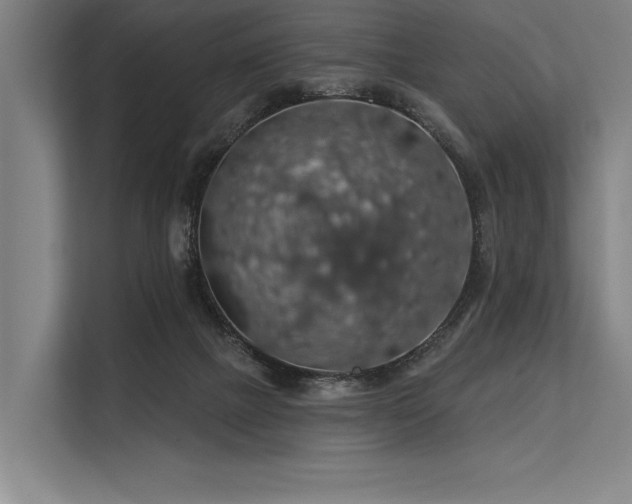 X0000113570073200909181255