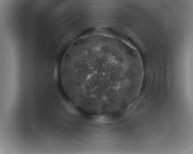 X0000113570074200909181255