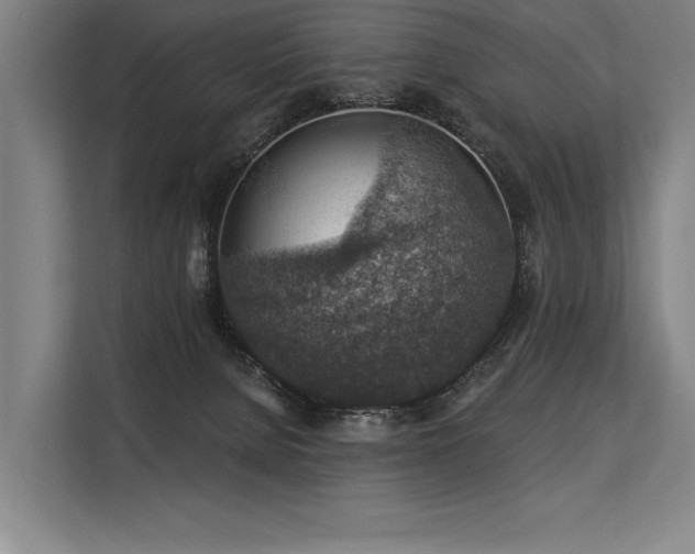 X0000113570080200909181255