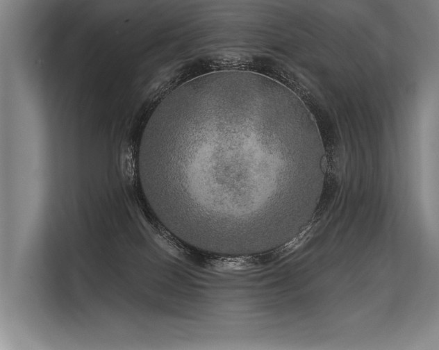 X0000113570086200909181256